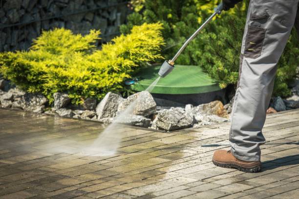Best Pool Deck Cleaning  in Los Fresnos, TX