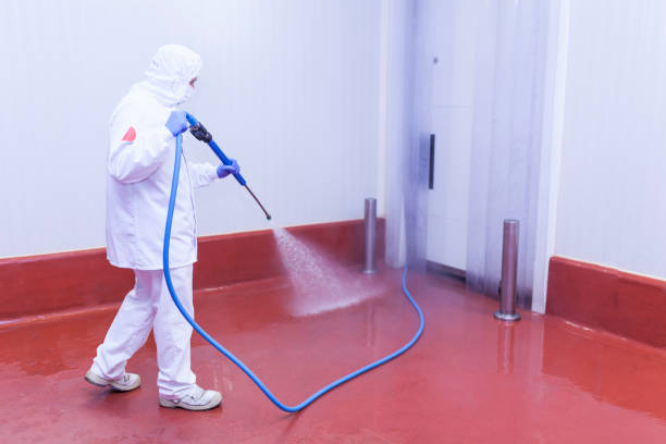 Best Restaurant Pressure Washing  in Los Fresnos, TX