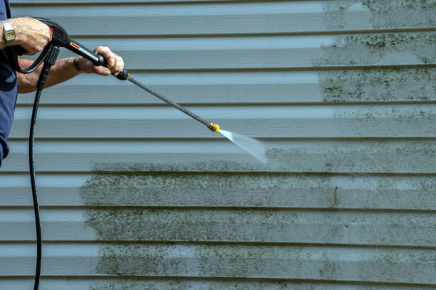 Best Gutter Cleaning  in Los Fresnos, TX