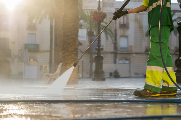 Best Driveway Pressure Washing  in Los Fresnos, TX